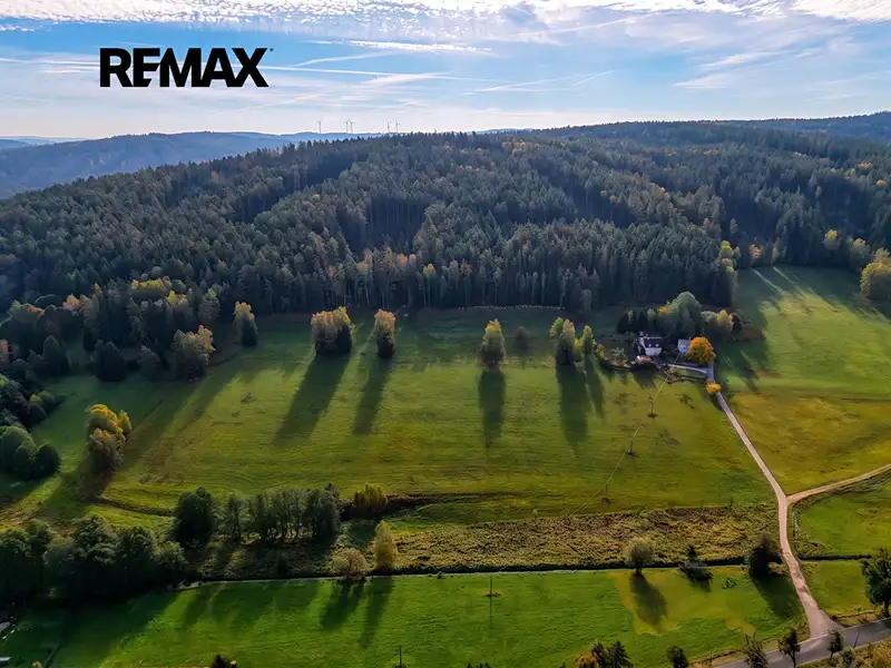 Prodej stavebního pozemku 61229 m², Podhradí – náhled fotky 2