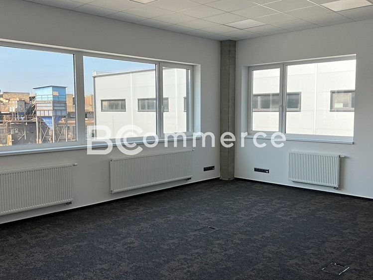Ostatní