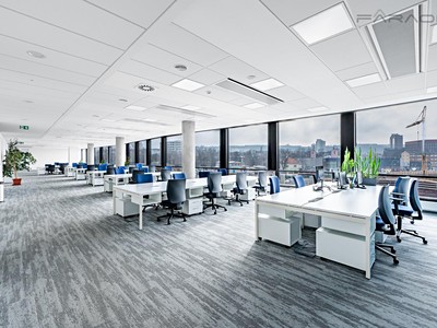 Комерційне приміщення в оренду, 800 м² (2 з 13)