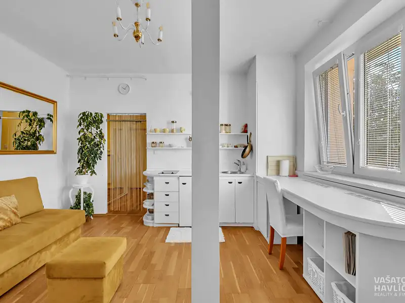 Pronájem bytu 1+kk 28 m², Hradec Králové – náhled fotky 3
