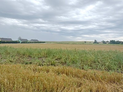 Ділянка на продаж, 1 242 м² (2 з 6)