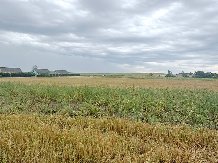 Ділянка на продаж, 1 242 м² (2 з 6)