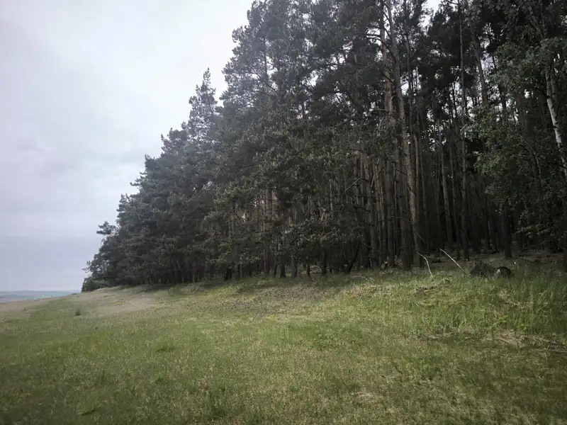 Prodej lesa 21226 m², Čečelice – náhled fotky 1