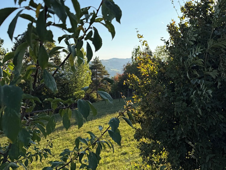 Prodej pozemku, 2 204 m² (8 z 13)