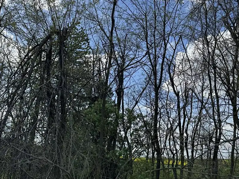 Prodej pozemku 5511 m², Slavičky – náhled fotky 2