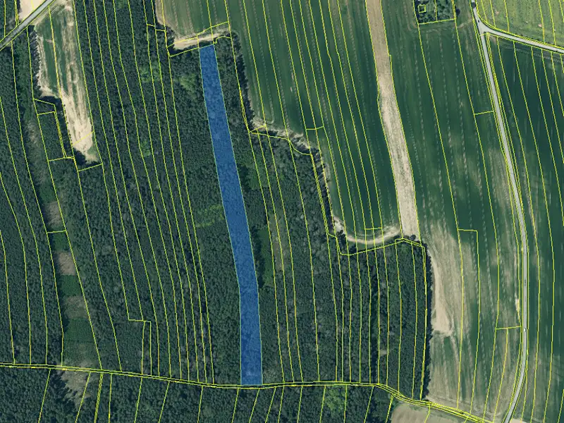 Prodej lesa 20955 m², Hromnice – náhled fotky 2