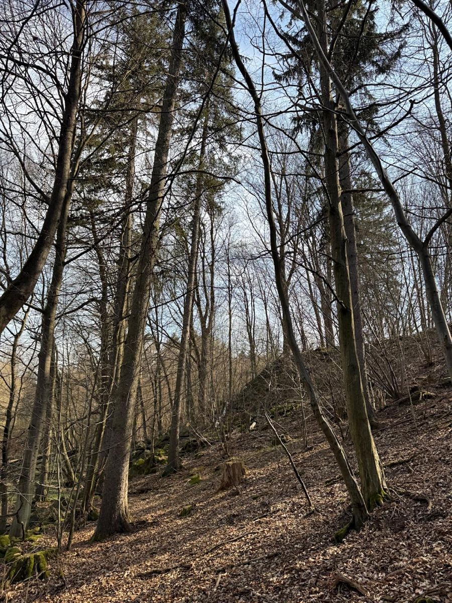 Prodej pozemku 23891 m², Louňovice pod Blaníkem – fotka 1 z 3