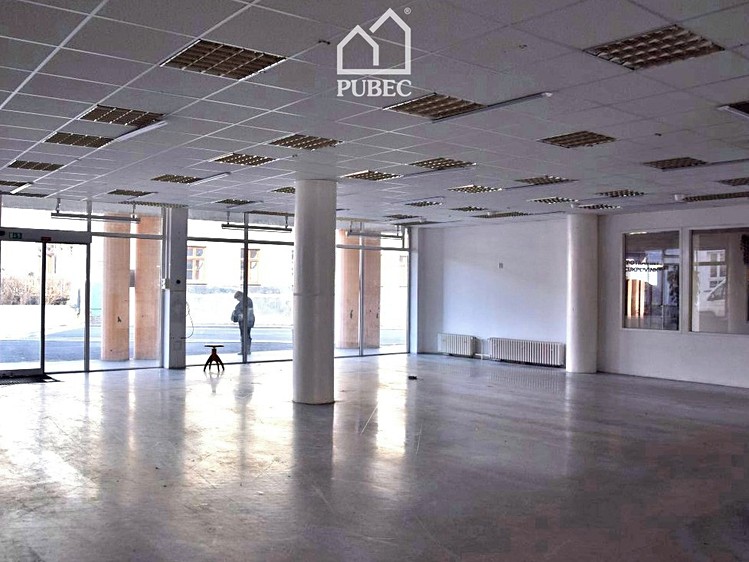 Pronájem komerčního prostoru, 254 m² (3 z 8)