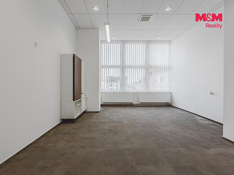 Pronájem komerčního prostoru, 396 m² (14 z 30)