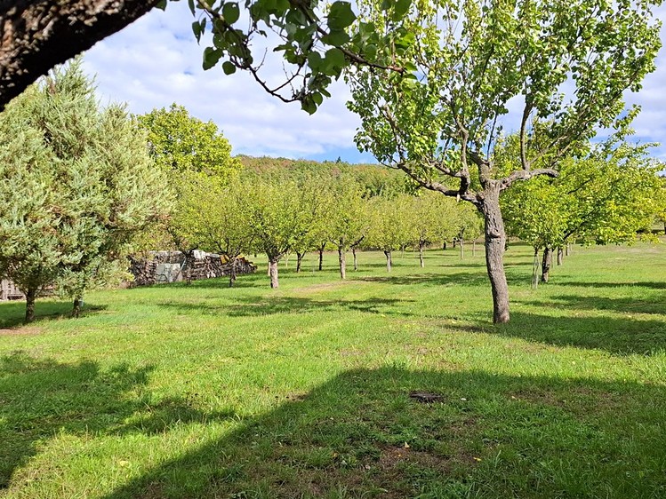 Ostatní