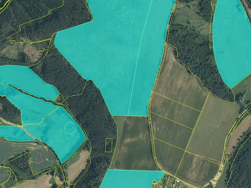 Dražba pozemku 385333 m², Svojšín – náhled fotky 2