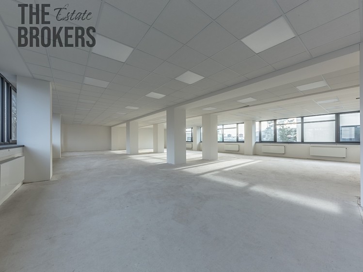 Gewerbefläche zur Miete, 375 m² (6 von 32)
