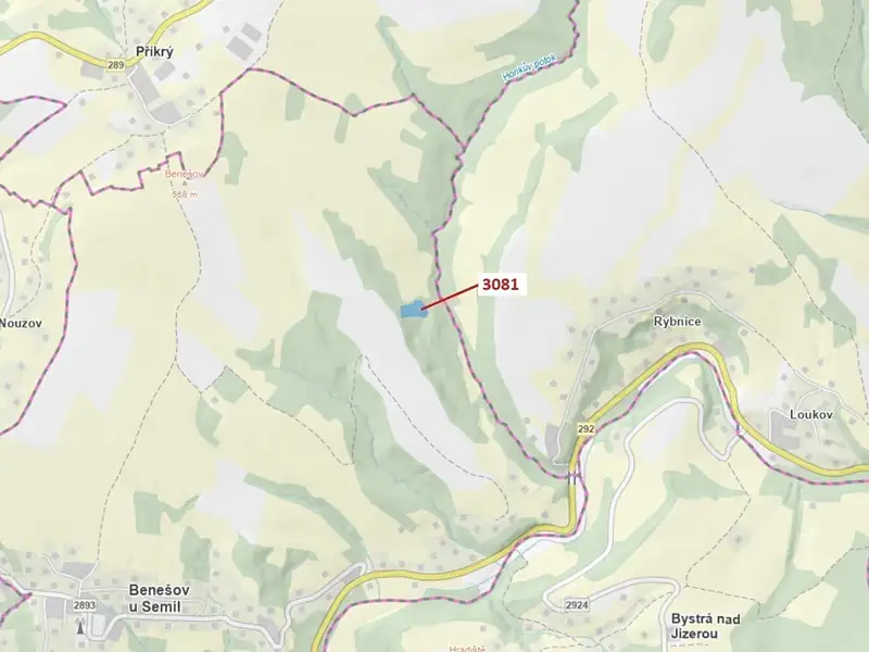 Dražba lesa 6213 m², Benešov u Semil – náhled fotky 1
