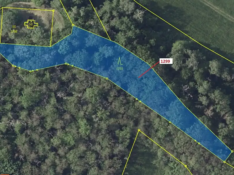 Dražba lesa 2275 m², Stebno – náhled fotky 2