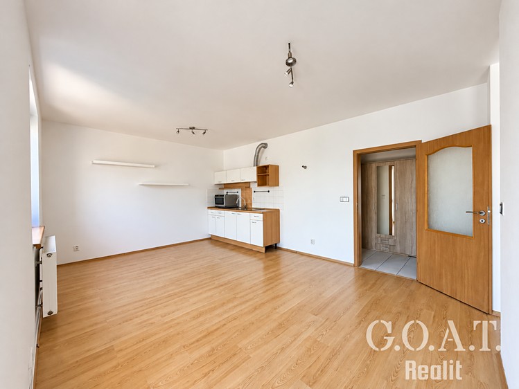Prodej bytu 1+kk, 44 m² (7 z 23)
