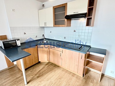 Pronájem bytu 1+kk 44 m²