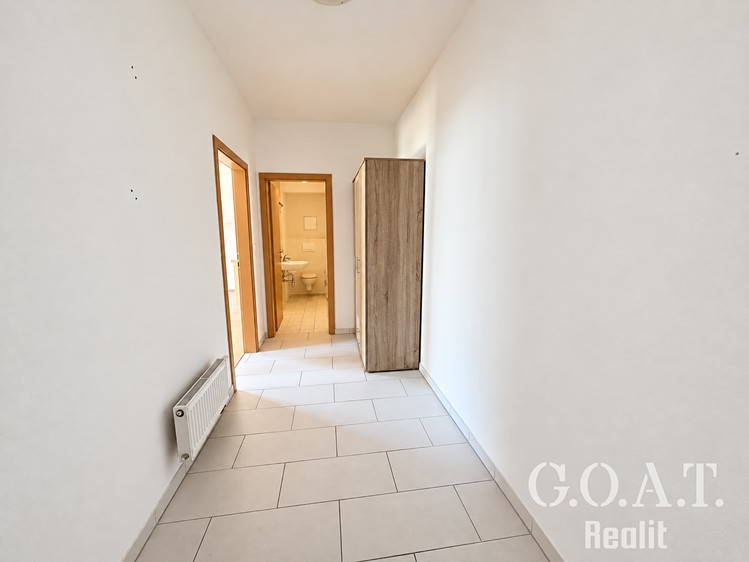 Prodej bytu 1+kk, 44 m² (12 z 23)