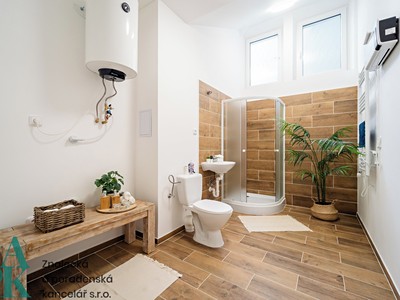 Pronájem bytu 1+kk, 55 m² (3 z 6)