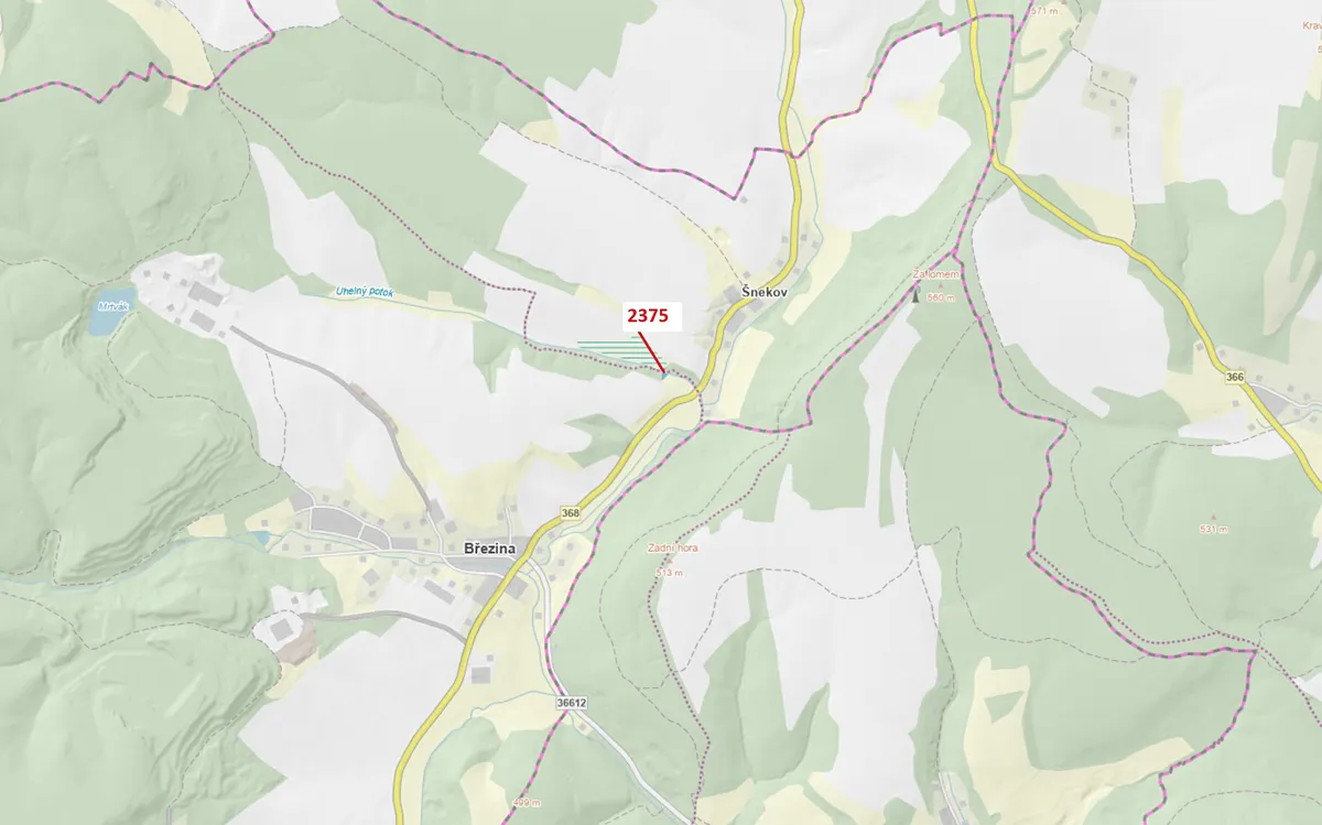 Dražba lesa 303 m²