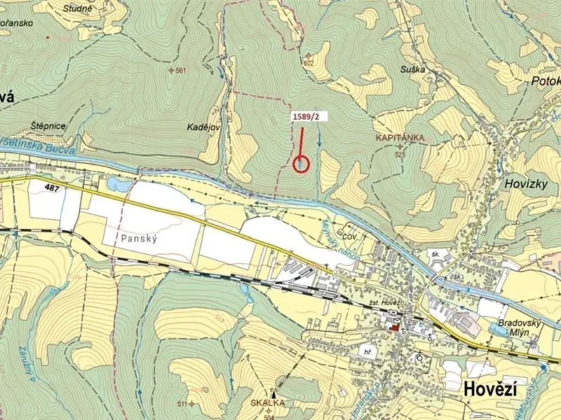 Dražba lesa 910 m², Hovězí – náhled fotky 1