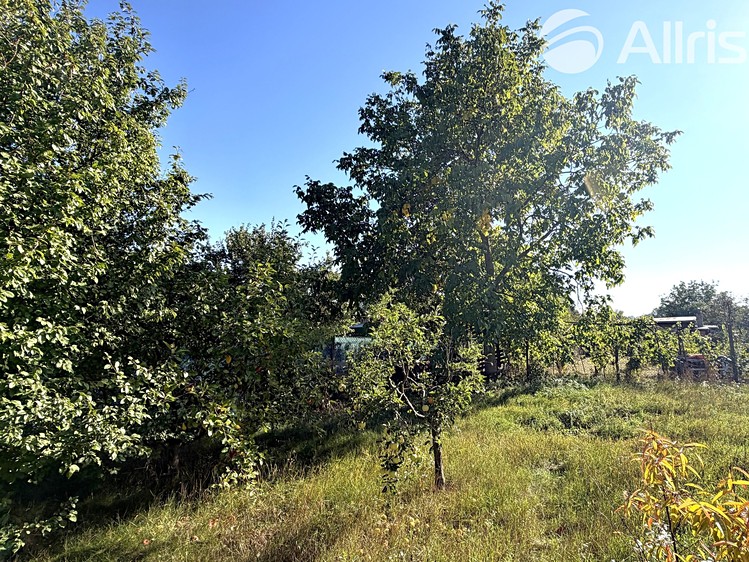 Ostatní