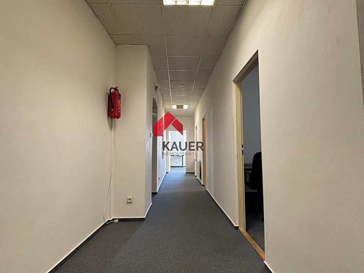 Комерційне приміщення в оренду, 110 м² (4 з 9)