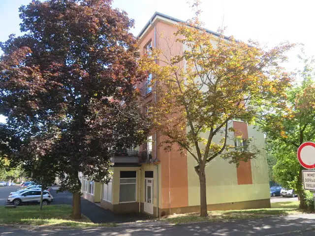 Dražba bytu 2+1 54 m², Most – náhled fotky 2