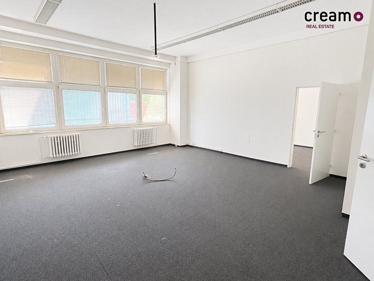 Pronájem komerčního prostoru, 263 m² (8 z 14)