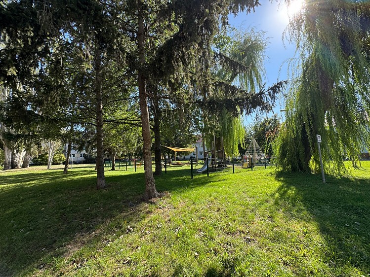 Ostatní