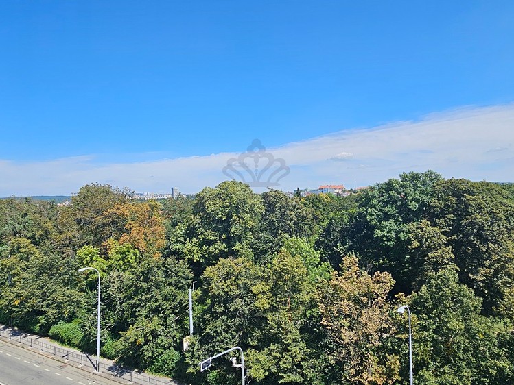 Ostatní