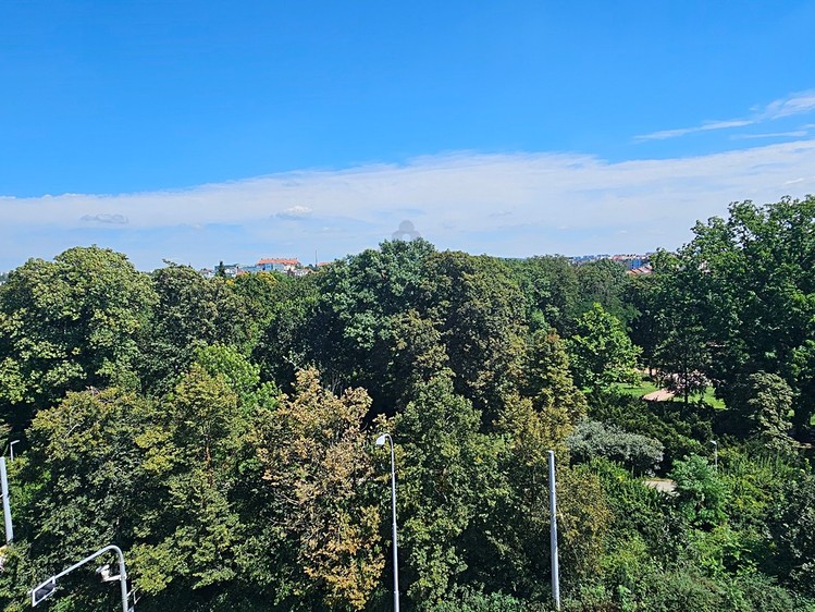 Ostatní