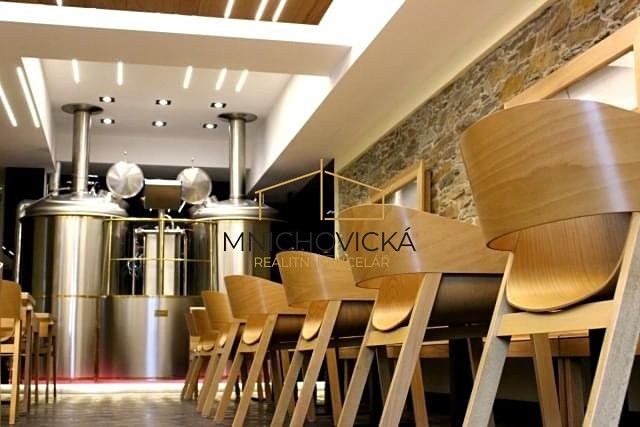 Prodej komerčního prostoru, 909 m² (6 z 19)