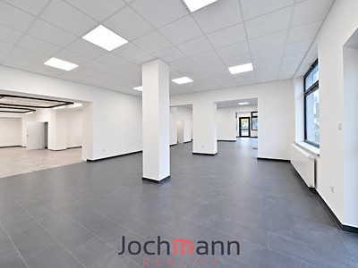 Gewerbefläche zur Miete, 501 m² (3 von 19)