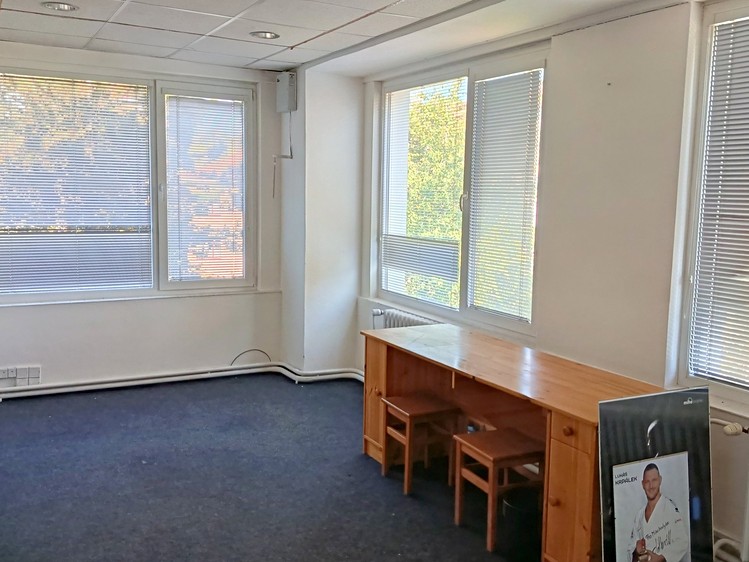 Pronájem komerčního prostoru, 21 m² (4 z 12)