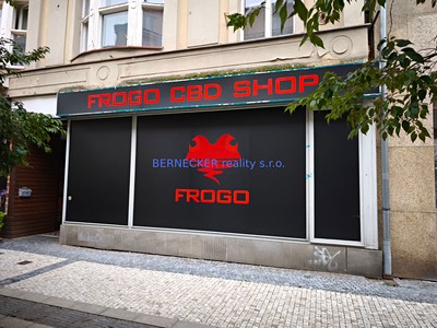 Pronájem komerčního prostoru, 85 m² (2 z 10)