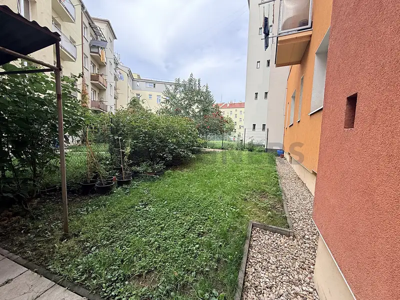 Pronájem bytu 1+1 58 m², Brno – náhled fotky 3