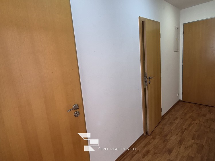 The 2+kk flat for rent, 107 m² (15 of 20)