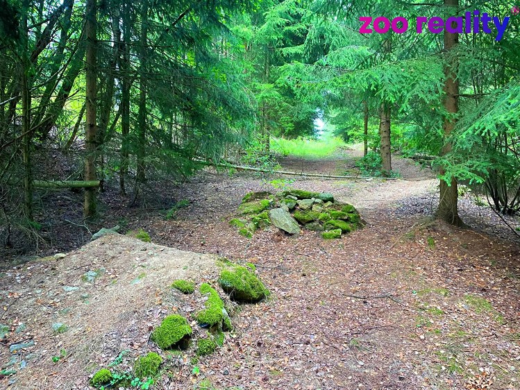 Grundstück zum Kauf, 33.000 m² (4 von 4)