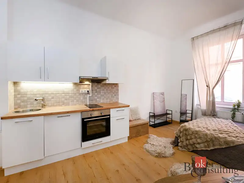 Prodej bytu 1+kk 27 m², Plzeň – náhled fotky 3