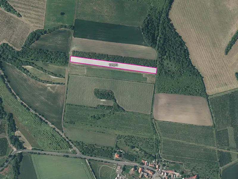 Prodej sadu, vinice 16344 m², Želkovice – náhled fotky 1
