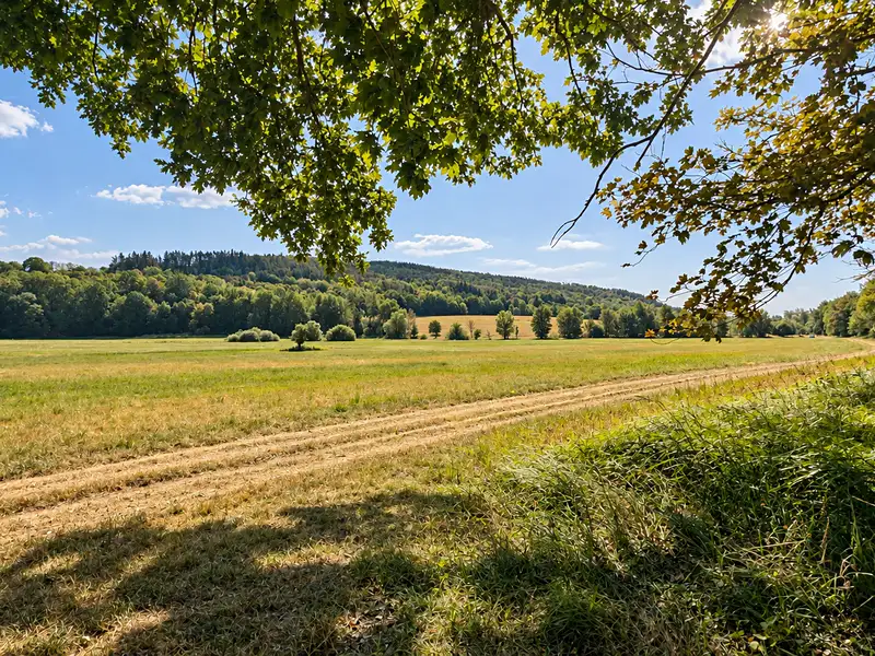 Prodej zahrady 1169 m², Borovy – náhled fotky 2