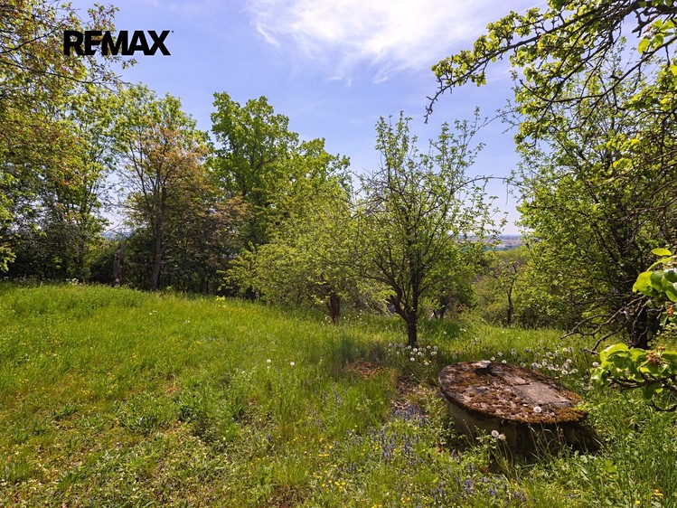 Grundstück zum Kauf, 953 m² (6 von 11)