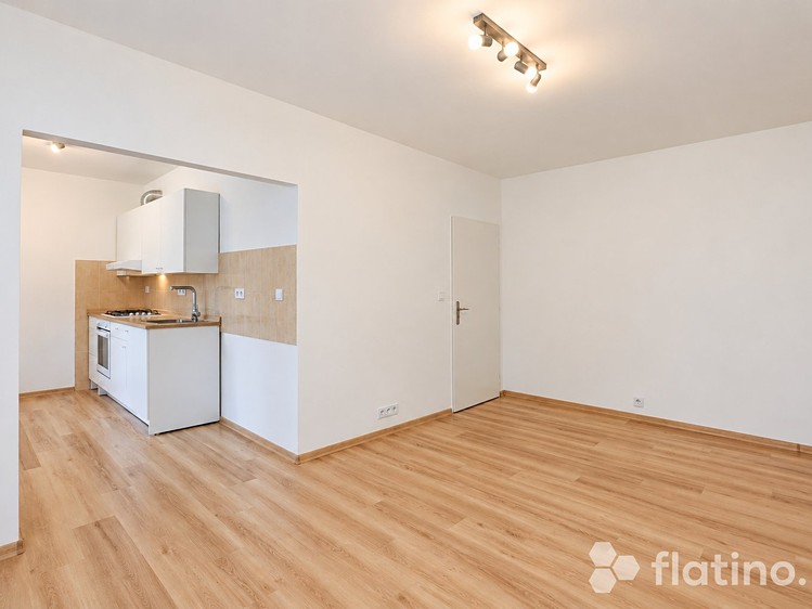 Prodej bytu 2+kk, 46 m² (4 z 17)
