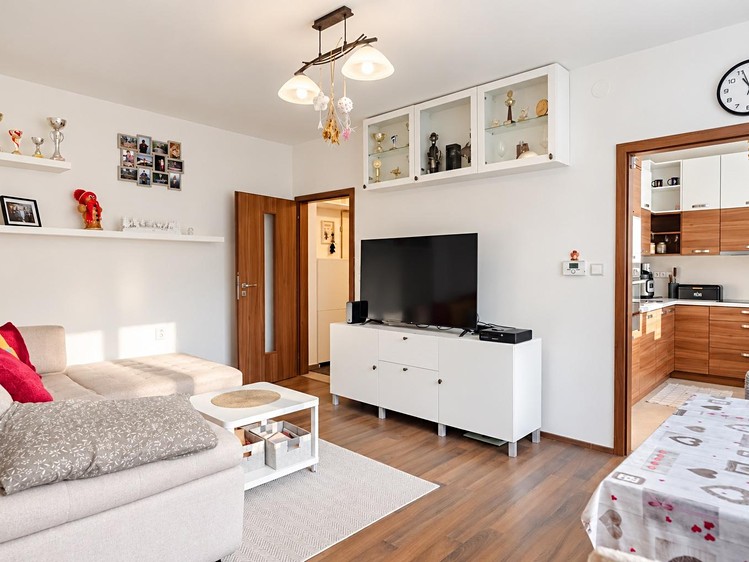 Prodej bytu 3+1, 58 m² (15 z 43)
