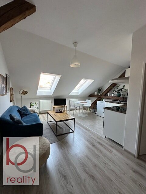 Pronájem bytu 1+kk 35 m², České Budějovice – fotka 1 z 3