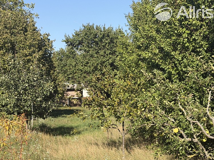 Grundstück zum Kauf, 910 m² (9 von 17)