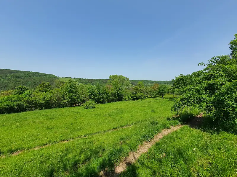 Prodej rodinného domu 79 m², pozemek 12265 m², Lopeník – náhled fotky 3