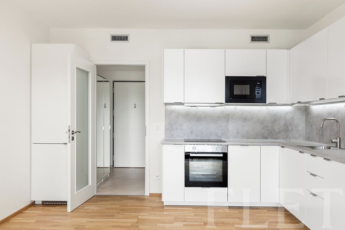 Pronájem bytu 1+kk 33 m² – fotografie 4