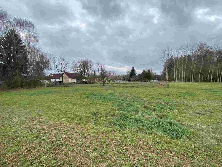 Grundstück zum Kauf, 1.427 m² (3 von 7)