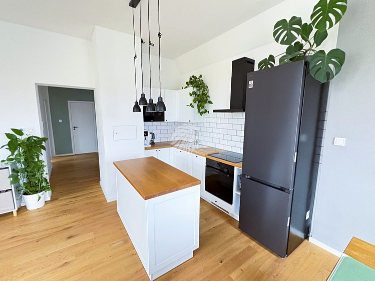 Wohnung 3+kk zur Miete, 68 m² (3 von 37)